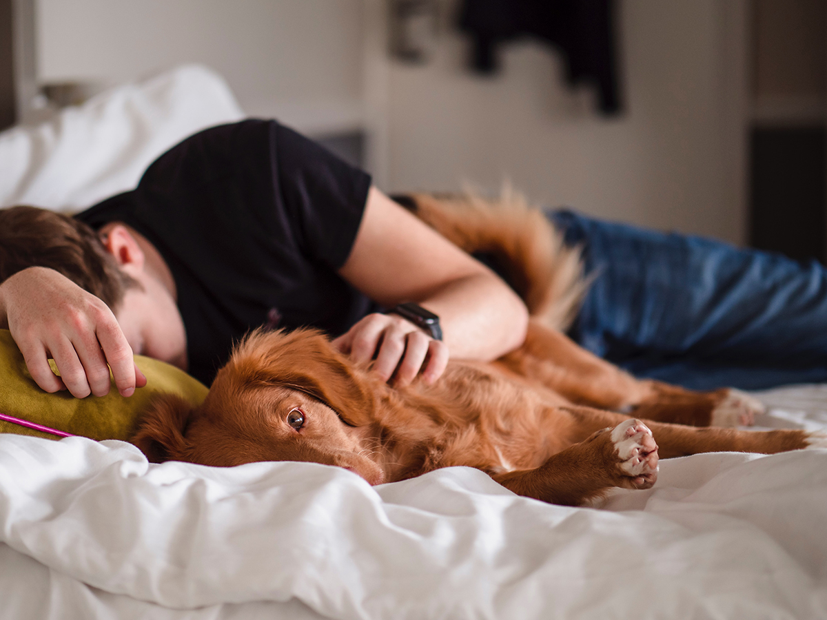 herbal sleeping tablets